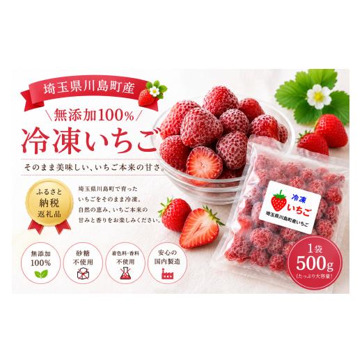 ふるさと納税 いちご 埼玉県 川島町 限定20個 とちおとめ 厳選したいちご冷凍パックにてお届け1パック約500g(容器含む)栄養たっぷりの土で育てた完熟いち…
