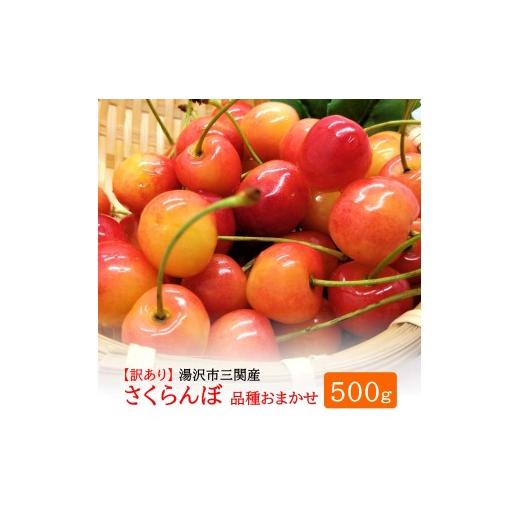 ふるさと納税 果物類 さくらんぼ 秋田県 湯沢市 三関産 さくらんぼ 訳あり 500g(250g×2)佐藤錦 紅秀峰 サイズ混合 藤利果樹園