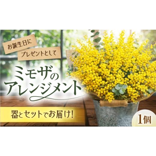 ふるさと納税 花・苗木 花束 大阪府 藤井寺市 ミモザのアレンジメント / ミモザ ユーカリ ドライフラワー ブーケ 花束 花飾り インテリア雑貨 大阪府 / 大阪…