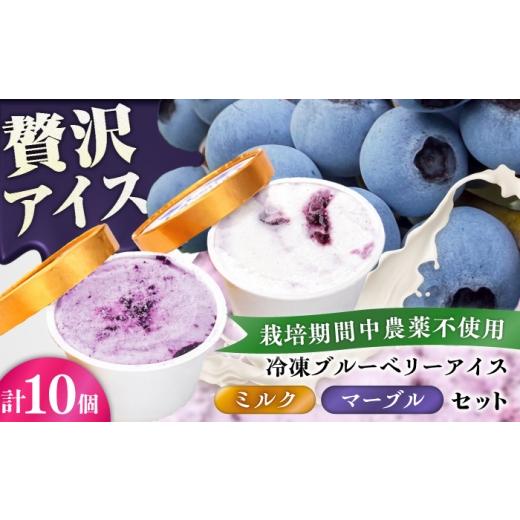 ふるさと納税 菓子 アイス 熊本県 菊陽町 アイス 冷凍ブルーベリーアイス(ブルーベリーミルク、マーブル 各5個) 計10個セット / アイス あいす 食べ比べ 氷菓…