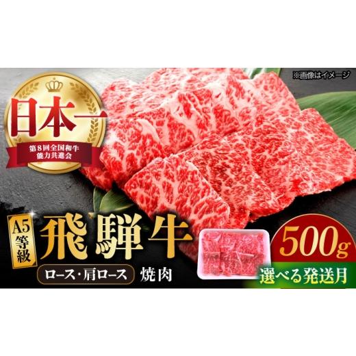 ふるさと納税 牛肉 焼肉・バーベキュー 岐阜県 多治見市 10月発送 飛騨牛 焼肉用 ロース・肩ロース 500g A5等級 牛 肉 和牛 牛肉 飛騨牛 高級肉 冷凍 国産 国…