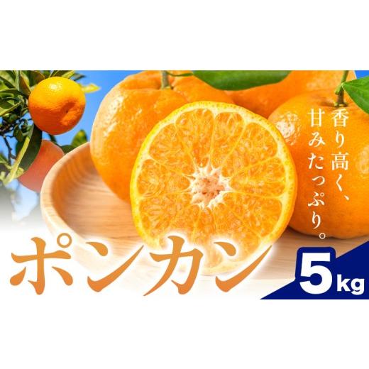 ふるさと納税 みかん・柑橘類 和歌山県 日高川町 和歌山県産 ポンカン 5kg 中畑農園[2027年1月下旬-2月末頃出荷] 和歌山県 日高川町 みかん ミカン 蜜柑 椪…