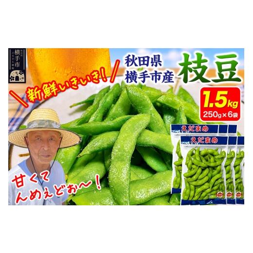 ふるさと納税 豆類 枝豆 秋田県 横手市 先行受付 7月下旬より発送 作り手の顔が見える「新鮮いきいき枝豆」 1.5kg(250g×6袋)秋田県横手市産 先行予約 枝豆…