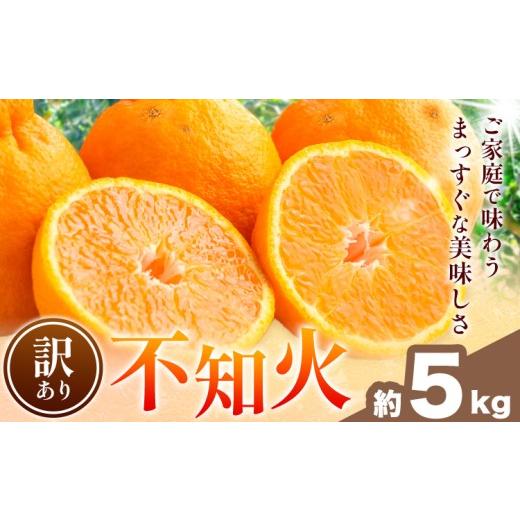 ふるさと納税 みかん・柑橘類 和歌山県 日高川町 不知火 訳あり 5kg 中畑農園[2027年1月下旬-2月末頃出荷] 和歌山県 日高川町 不知火 みかん ミカン 蜜柑 椪…