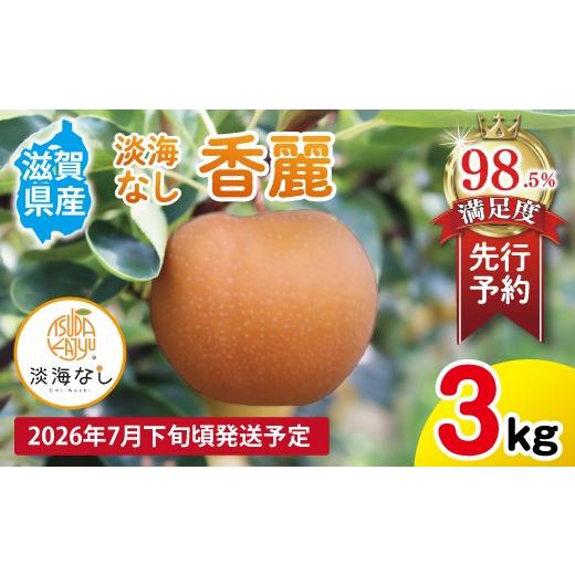 ふるさと納税 梨 滋賀県 近江八幡市 先行予約 数量限定 淡海なし 香麗 3kg 箱入り(サイズ:2L〜7L 5〜10個入り) K126W 梨 ナシ こだわりの梨 フルーツ 果…
