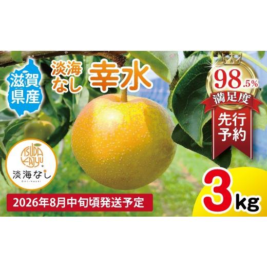 ふるさと納税 梨 滋賀県 近江八幡市 先行予約 数量限定 淡海なし 幸水 3kg箱入り(サイズ:2L〜7L 5〜10個入り) K127W 梨 ナシ こだわりの梨 フルーツ 果…