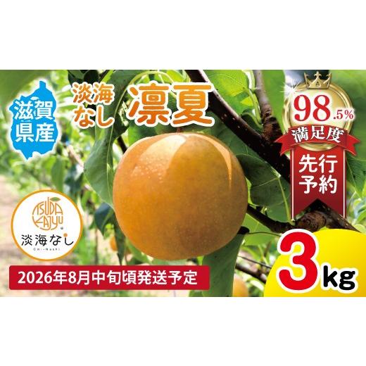 ふるさと納税 梨 滋賀県 近江八幡市 先行予約 数量限定 淡海なし 凛夏 3kg箱入り(サイズ:2L〜7L 5〜10個入り) K128W 梨 ナシ こだわりの梨 フルーツ 果…