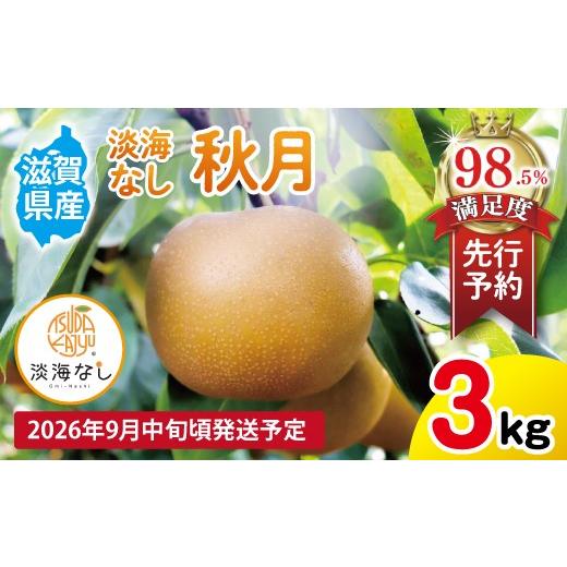 ふるさと納税 梨 滋賀県 近江八幡市 先行予約 数量限定 淡海なし 秋月 3kg箱入り(サイズ:2L〜7L 5〜10個入り) K130W 梨 ナシ こだわりの梨 フルーツ 果…