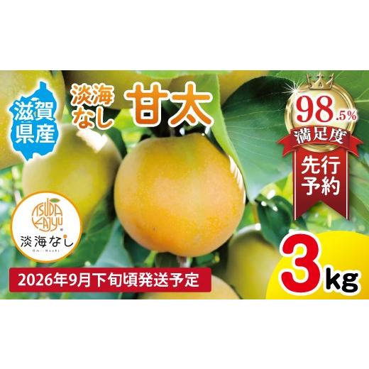 ふるさと納税 梨 滋賀県 近江八幡市 先行予約 数量限定 淡海なし 甘太 3kg箱入り(サイズ:2L〜7L 5〜10個入り) K131W 梨 ナシ こだわりの梨 フルーツ 果…