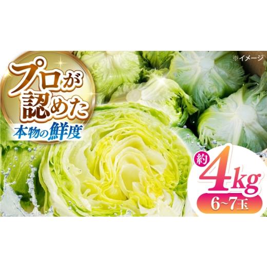 ふるさと納税 野菜類 長崎県 南島原市 レタス 約4kg(6〜7玉)/ れたす 野菜 やさい / 南島原市 / 株式会社松尾青果
