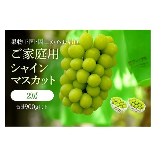 ふるさと納税 ぶどう マスカット 岡山県 岡山市 2026年発送先行予約 シャインマスカット2房 合計900g 家庭用 9月上旬以降発送 | 岡山県産フルーツ ぶどう 果…