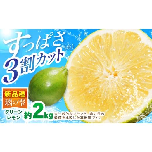 ふるさと納税 みかん・柑橘類 レモン 佐賀県 白石町 璃の雫 レモン 約2kg (6個〜7個程度) 道の駅しろいしカンパニー