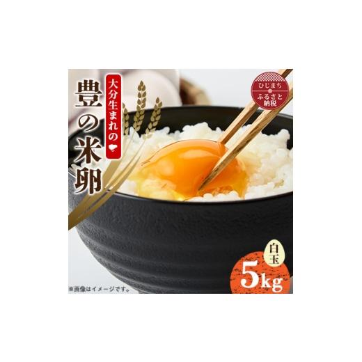 ふるさと納税 卵(鶏、烏骨鶏等) 大分県 日出町 大分生まれのAW飼い「豊の米卵」5kg(白卵) 1740554
