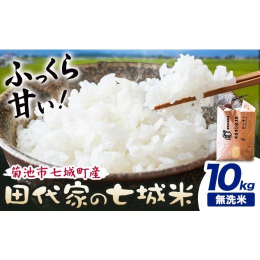 ふるさと納税 米 ヒノヒカリ 熊本県 菊池市 令和7年産 菊池市七城町産 田代家の七城米 七城ヒノヒカリ玄無洗米 10kg 田代こめや[30日以内に出荷予定(土日祝除…