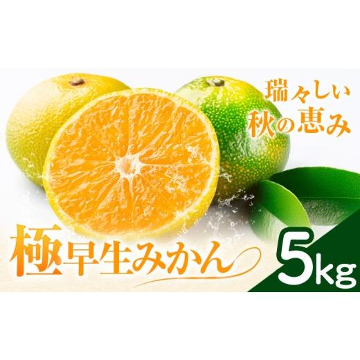 ふるさと納税 果物類 みかん 熊本県 苓北町 極早生みかん 5kg 高橋商店[9月下旬-10月中旬頃出荷]熊本県 苓北町 柑橘 かんきつ 果物 フルーツ みかん 5kg