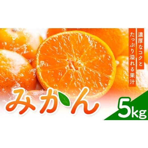 ふるさと納税 果物類 みかん 熊本県 苓北町 みかん 5kg 高橋商店[10月下旬-1月中旬頃出荷]熊本県 苓北町 柑橘 かんきつ 果物 フルーツ みかん 5kg