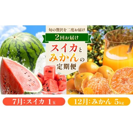 ふるさと納税 スイカ 熊本県 苓北町 頒布会 ＼6月12日まで/スイカ 1玉 と みかん 5kg の定期便 高橋商店[7月上旬-12月末頃出荷]熊本県 苓北町 すいか 西瓜…