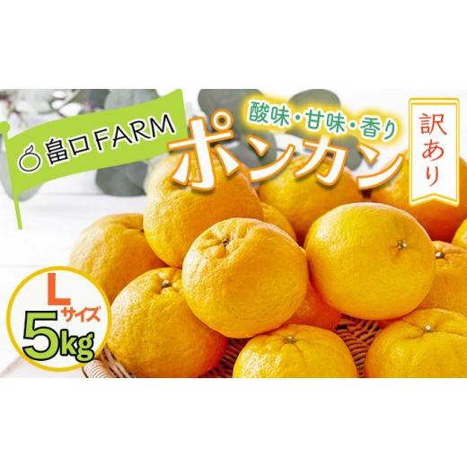 ふるさと納税 みかん・柑橘類 高知県 東洋町 先行予約 訳ありポンカン 5kg Lサイズ Lサイズ 5kg