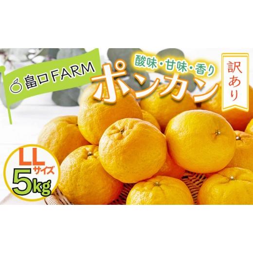 ふるさと納税 みかん・柑橘類 高知県 東洋町 先行予約 訳ありポンカン 5kg LLサイズ LLサイズ 5kg