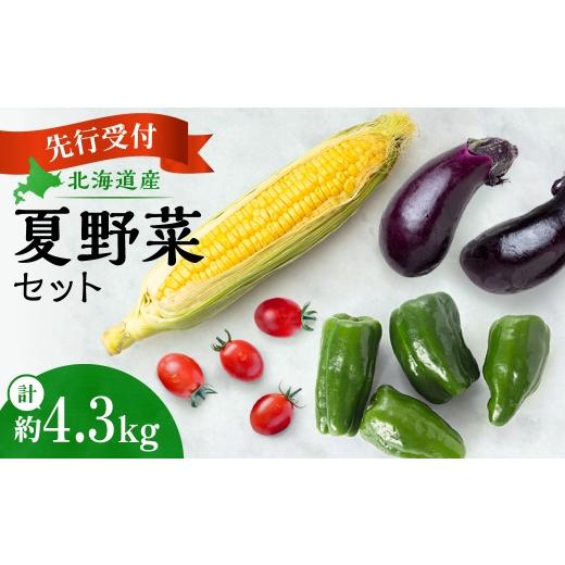 ふるさと納税 セット・詰合せ 北海道 札幌市 先行受付 夏野菜セット|北海道産 とうもろこし ピーマン なす トマト セット 詰合せ 北海道 札幌市