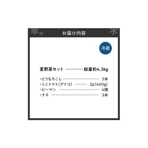 ふるさと納税 セット・詰合せ 北海道 札幌市  先行受付 夏野菜セット｜北海道産 とうもろこし ピーマン なす トマト セット 詰合せ 北海道 札幌市_2