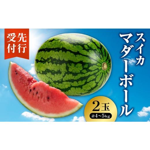 ふるさと納税 スイカ 北海道 札幌市 先行受付 スイカ | 北海道産 西瓜 小玉スイカ マダーボール 2玉 北海道 札幌市