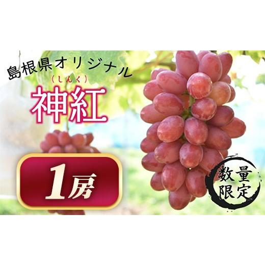 ふるさと納税 ぶどう 島根県 安来市 先行受付 島根県オリジナルぶどう 神紅 1房 2026年 島根県 オリジナル 品種 ブドウ 葡萄 ぶどう 種なし 皮ごと 先行予約 …