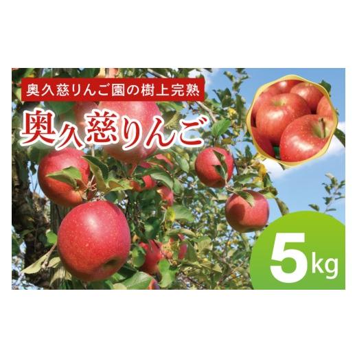 ふるさと納税 りんご 茨城県 大子町 先行予約 奥久慈 りんご 5kg 樹上完熟 奥久慈りんご園 茨城県 大子町 フルーツ 果物 国産 詰め合わせ ふじ 秋映 陽光 シナ…