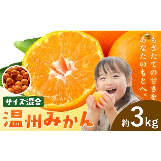 ふるさと納税 果物類 みかん 和歌山県 日高川町 みかん 温州みかん 温州 サイズ混合 約3kg エイワ商店[12月中旬-1月末頃出荷]和歌山県 日高川町 送料無料 柑…