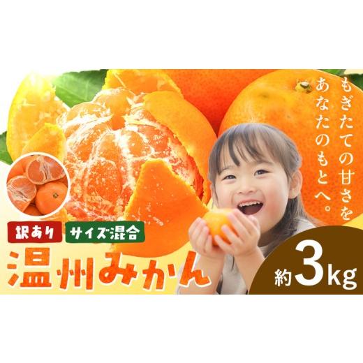 ふるさと納税 果物類 みかん 和歌山県 日高川町 訳あり みかん 温州みかん 温州 サイズ混合 ご家庭用 約3kg エイワ商店[12月中旬-1月末頃出荷]和歌山県 日高…