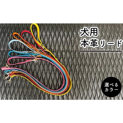 ふるさと納税 雑貨・日用品 愛知県 春日井市 スカイブルー 犬用・本革リード | リード 犬 おしゃれ 犬用首輪ペット用品 春日井市 スカイブルー