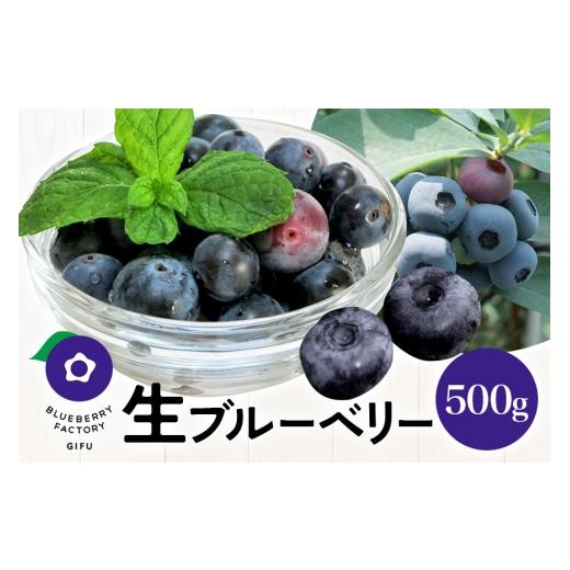 ふるさと納税 果物類 岐阜県 川辺町 生ブルーベリー 600g(100g×6P) 完熟 果物 手摘み ブルーベリー 果実 生 新鮮 ベリー フルーツ くだもの 日時指定可 岐…