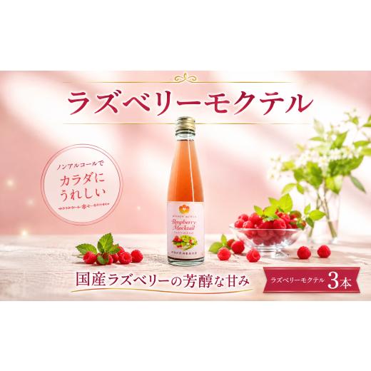ふるさと納税 果汁飲料 神奈川県 海老名市 ラズベリー モクテル 200ml 3本セット ノンアルコール 飲料 紅茶 TEA フルーツ 果実 果物 贈答 ラズベリーリーフテ…