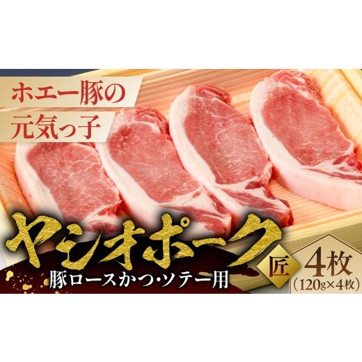 ふるさと納税 豚肉 ロース 栃木県 那須塩原市 ヤシオポーク匠豚ロースかつ・ソテー用 ns145-004 肉 豚肉 ロース かつ ソテー