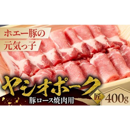 ふるさと納税 豚肉 ロース 栃木県 那須塩原市 ヤシオポーク匠豚ロース焼き肉用400g ns145-005 肉 豚肉 ロース 焼肉