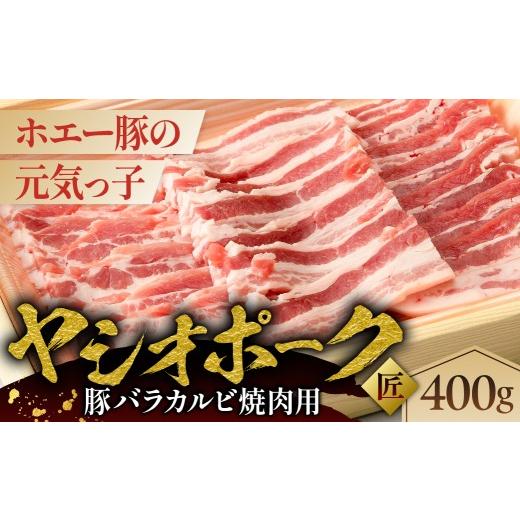 ふるさと納税 豚肉 バラ 栃木県 那須塩原市 ヤシオポーク匠豚バラカルビ焼き肉用400g ns145-006 肉 豚肉 バラ カルビ 焼肉