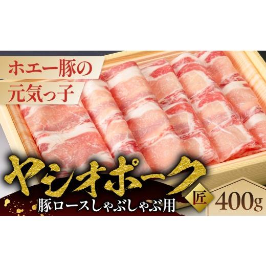 ふるさと納税 豚肉 ロース 栃木県 那須塩原市 ヤシオポーク匠豚ロースしゃぶしゃぶ用400g ns145-007 肉 豚肉 ロース しゃぶしゃぶ
