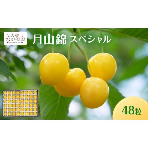 ふるさと納税 果物類 さくらんぼ 北海道 芦別市 先行予約 さくらんぼ 月山錦 スペシャル 48粒 化粧箱入 特選 大粒 フルーツ 完熟 サクランボ 果物 デザート …