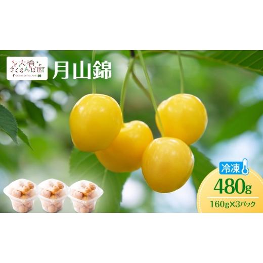 ふるさと納税 果物類 さくらんぼ 北海道 芦別市 冷凍さくらんぼ 月山錦 160g × 3パック 480g 黄色いさくらんぼ 希少種 さくらんぼの女王 急速冷凍 完熟 フル…