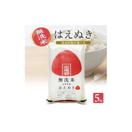 ふるさと納税 米 はえぬき 山形県 遊佐町 山形県産はえぬき(無洗米)5kg×1袋 (令和8年産米)10月下旬 令和8年10月下旬発送