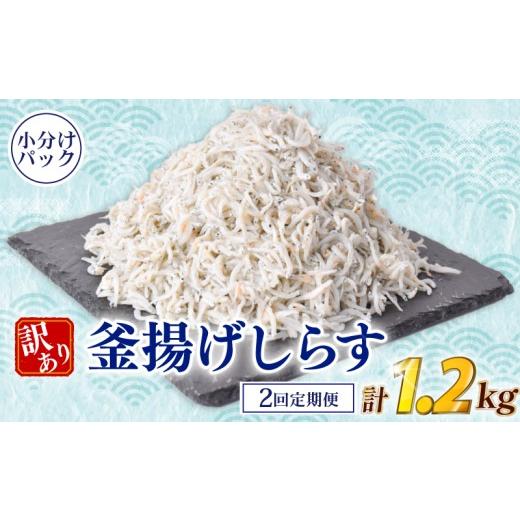 ふるさと納税 魚貝類 しらす 高知県 安芸市 定期便 しらす 訳あり 計 1.2kg 600g (100g × 6パック) × 2回定期便 訳あり 冷凍 ちりめん 釜揚げしらす 減塩 …