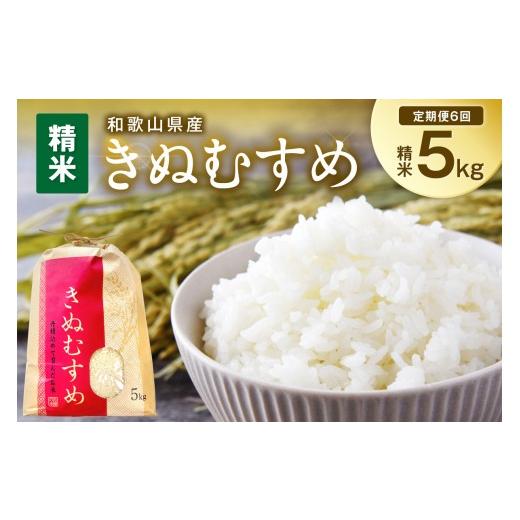 ふるさと納税 米 和歌山県 御坊市 定期便6回 令和7年産 和歌山県産 定期便「きぬむすめ」精米5kg