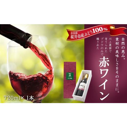 ふるさと納税 ワイン 赤ワイン 奈良県 桜井市 M-B27. 欧州系ぶどう100% 赤ワイン 720ml 1本
