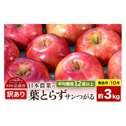 ふるさと納税 りんご 青森県 弘前市 26年10月発送 りんご 葉とらずサンつがる 訳あり 約3kg 平均糖度12度以上 青森県産 果物 フルーツ 林檎 リンゴ くだもの …