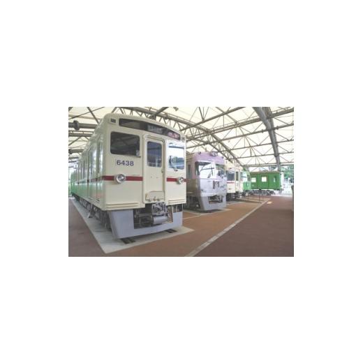 ふるさと納税 体験チケット 東京都 日野市 京王れーるランド 特製カードホルダー付き全日年間パスポート 1515587