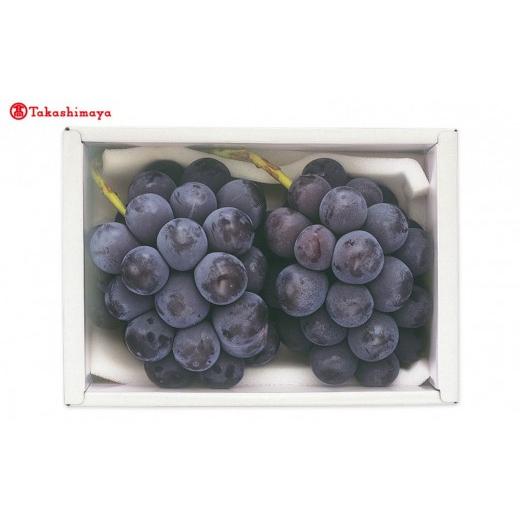 ふるさと納税 ぶどう 岡山県 岡山市 高島屋選定品 [フルーツアンシャンテ]ニューピオーネ400g×2