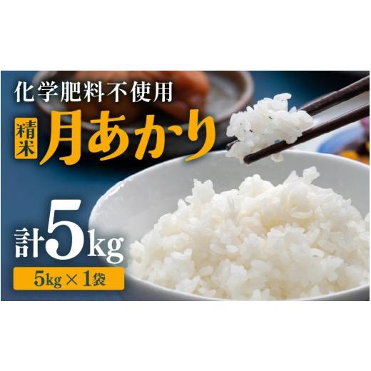 ふるさと納税 米 福井県 あわら市 先行予約 令和8年産 化学肥料不使用 月あかり 精米 5kg 2026年9月下旬より順次発送予定 aw010-a046