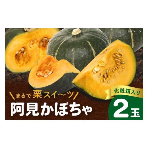ふるさと納税 野菜類 茨城県 阿見町 阿見かぼちゃ 2玉 化粧箱入り 高糖度 国産 甘い 夏限定 旬 ホクホク 野菜 煮物 天ぷら 南瓜 人気 産地直送 ギフト 茨城県…