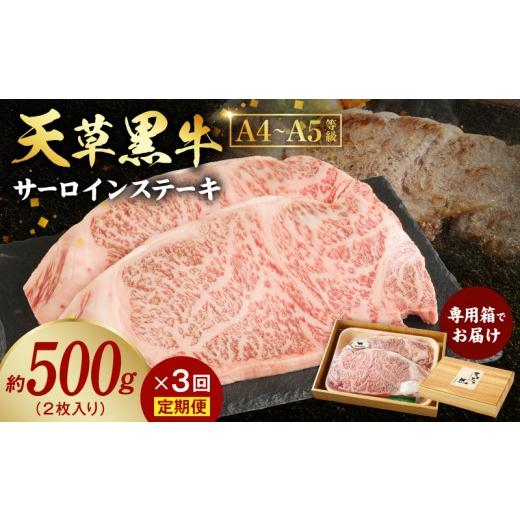 ふるさと納税 牛肉 サーロイン 熊本県 天草市 S074-013-T03_ 定期便3回 天草黒牛 サーロイン ステーキ 2枚入 約500g 黒毛和牛 A4〜5等級