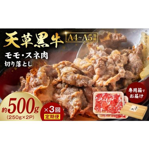 ふるさと納税 牛肉 モモ 熊本県 天草市 S074-016-T03_ 定期便3回 天草黒牛 モモ・スネ肉 切り落とし約500g(250g×2P) 黒毛和牛 A4〜5等級